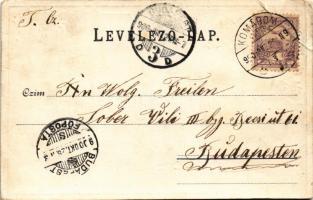 1900 Komárom, Komárno; Nagy Duna híd, új kis Duna híd. Freisinger Mór kiadása. Szecessziós virágos f...