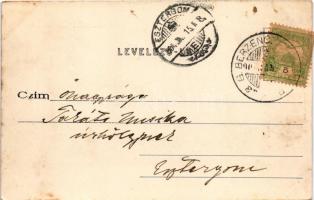 1904 Léva, Levice; Városháza, Amstetter Imre, Schweihs és Trebitsch, Kovács Sándor üzlete, Lang közp...