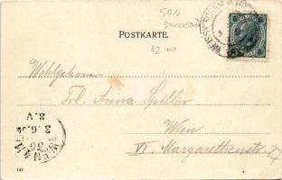 1904 Hranice na Morave, Mährisch Weisskirchen; general view. Art Nouveau, floral, litho frame (EB)