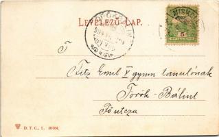 1904 Diósgyőr (Miskolc), vasgyár madártávlatból (EK)