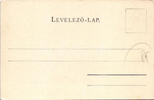 Kaposvár, látkép, templom. Gerő Zsigmond kiadása (EK)