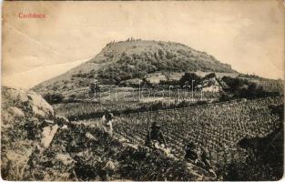 1910 Csobánc, vár. Lőwy B. kiadása (fa)