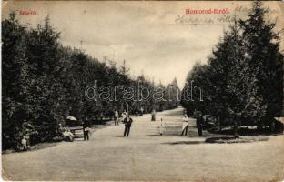 1910 Homoródfürdő, Homoród-fürdő, Baile Homorod; Sétatér. Erdélyi Simon kiadása / promenade (kopott sarkak / worn corners)