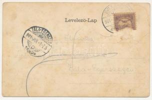 1901 Brassó, Kronstadt, Brasov; Noa, úri rét. Szecessziós-virágos litho keret / Noua. Art Nouveau, f...