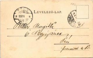 1899 (Vorläufer) Segesvár, Schässburg, Sighisoara; Petőfi Sándor szobra, fejéregyházi honvédemlék a ...