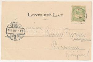 1902 Körösbánya, Kőrösbánya, Altenburg, Baia de Cris; Római katolikus templom, üzlet. Cotioiu Romulu...