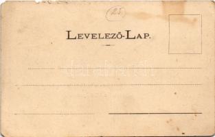 Máramarossziget, Sighetu Marmatiei; Római katolikus templom és gimnázium, Színházkert a m. kir. fels...