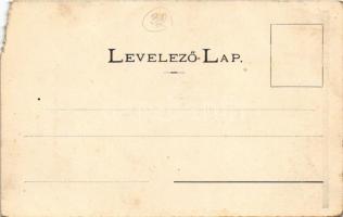 Visóvölgy, Valea Viseului (Máramaros); Szikla részlet a Visó-völgyben. Berger Miksa kiadása / rock (...