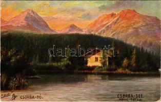 1910 Tátra, Magas-Tátra, Vysoké Tatry; Csorba-tó. Raphael Tuck &amp; Sons Oilette Serie Hohe Tatra No. 608 B. / Strbské pleso / lake (kopott sarkak / worn corners)