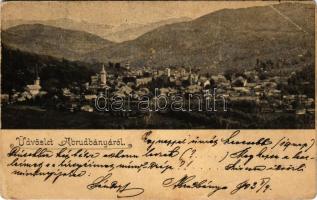 1903 Abrudbánya, Abrud; látkép / general view (fa)