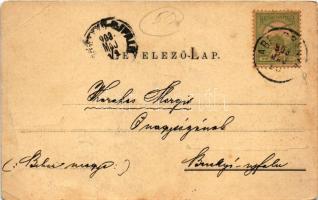 1903 Abrudbánya, Abrud; látkép / general view (fa)