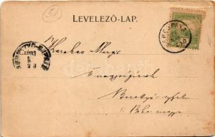 1903 Verespatak, Goldbach, Rosia Montana; Háttérben a Kyrnik és a Csetátye. Dunky fivérek cs. és kir...