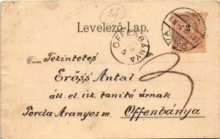 1900 Déva, Előlegezési szövetkezet palotája, Megyeháza, várrom, városi kisdedóvó, Szőcs F. Lajos, Hi...