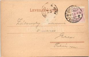 1899 (Vorläufer) Gruss von der Donau. Ein Donauschlepper / Üdvözlet a Dunáról. Dunai vontatóhajó kap...