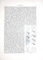 Magyarország műemlékei. A vallás- és közoktatásügyi minister megbízásából szerkeszti Forster Gyula. ...