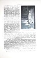 Magyarország műemlékei. A vallás- és közoktatásügyi minister megbízásából szerkeszti Forster Gyula. ...