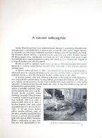 Magyarország műemlékei. A vallás- és közoktatásügyi minister megbízásából szerkeszti Forster Gyula. ...