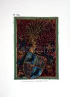 Magyarország műemlékei. A vallás- és közoktatásügyi minister megbízásából szerkeszti Forster Gyula. ...