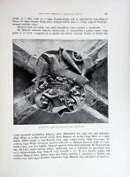 Magyarország műemlékei. A vallás- és közoktatásügyi minister megbízásából szerkeszti Forster Gyula. ...