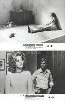 cca 1989 előtt készült, "A kilencfarkú macska" című olasz-francia-NSZK film jelenetei és szereplői, 8 db vintage produkciós filmfotó (vitrinfotó, lobbyfotó) ezüst zselatinos fotópapíron, a használatból eredő (esetleges) kisebb hibákkal, 18x24 cm