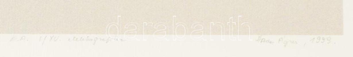 Haász Ágnes (1951-): Quodlibet II,, 1848-49. Elektrográfia, papír. Jelzett. Művészpéldány E.A. I/XV ...