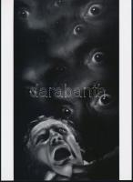 cca 1941 Aszmann Ferenc (1907-1988) debreceni fotóművész felvétele (Mánia), 1 db modern nagyítás, jelzés nélkül, 21x15 cm