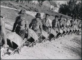 cca 1935 Escher Károly (1890-1966) budapesti fotóriporter és fotóművész felvétele, 1 db modern nagyítás jelzés nélkül, az 1930-as évek szociofotó mozgalmának egyik kiváló alkotása, 1 db modern nagyítás, jelzés nélkül, 15x21 cm