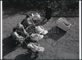 cca 1960 Vadas Ernő (1899-1962) budapesti fotóművész és fotóriporter felvétele (Tavaszi napsütés), 1 db modern nagyítás, jelzés nélkül, 15x21 cm