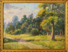 Perényi Károly (1896-1985): Napfényes táj, 1955. Olaj, papír. Jelezve jobbra lent. Dekoratív, üvegezett fakeretben, 29,5x39 cm.