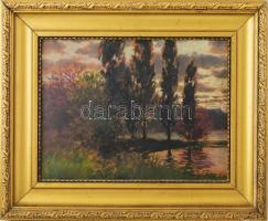 Tordai Székely Zsigmond (XX. sz. első fele): Vízparti táj. Olaj, karton, jelzett. Dekoratív fakeretben. 34×44,5 cm