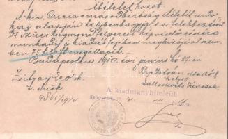 1910 Bp., M. Kir. Kúriai ítélet kolozsvári törvényszékre küldve