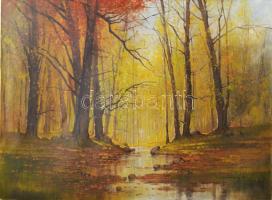 I Mesterházy D jelzéssel: Erdőrészlet. Olaj, vászon, sérült, 59×80 cm.