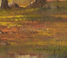 I Mesterházy D jelzéssel: Erdőrészlet. Olaj, vászon, sérült, 59×80 cm
