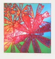 Olvashatatlan jelzéssel: Virágok (cím nélkül), 2009. Színes rézkarc, papír, jelzett, művészpéldány E.A. 4/20 számozással. 30x30 cm
