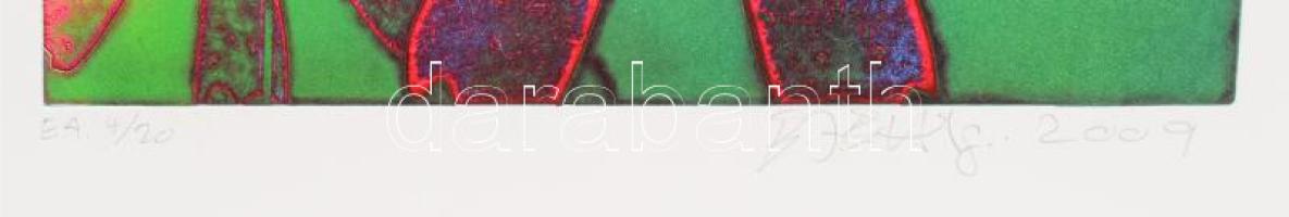 Olvashatatlan jelzéssel: Virágok (cím nélkül), 2009. Színes rézkarc, papír, jelzett, művészpéldány E...