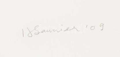 Hector Saunier (1936-), argentin-francia művész: Hydra, 2009. Színes rézkarc, papír, jelzett, 15/30 ...