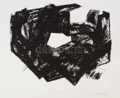 Lynn Newcomb (-), amerikai, művész: Gubanc (cím nélkül). Litográfia, papír, jelzett, 3/20 számozással. 36x44 cm