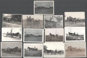 cca 1920-1930 Lovaskocsikat ábrázoló fotók, 13 db, 6×8,5 cm