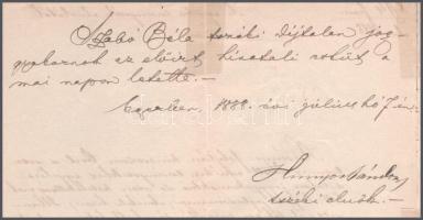 1888 Egri királyi törvényszék által kibocsátott kinevezés bélyegzéssel