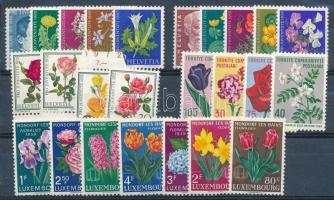 5 klf virág motívum sor stecklapon