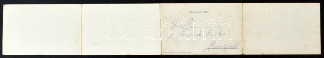 Újvidék, Novi Sad; 4-részes kihajtható panorámalap, rajta "BAROSS" gőzhajó és zsinagóga is...