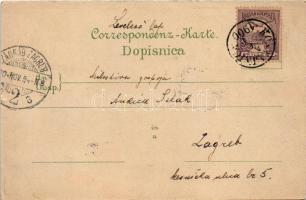 1900 Hrvatska Kostajnica, Castanowitz, Costainizza; látkép, templomok. E. Lukic kiadása / general vi...