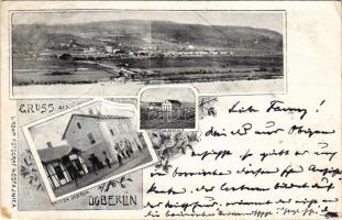 1898 (Vorläufer) Dobrljin, Doberlin; Station Doberlin, Postamt und Cantine / railway station, post office and canteen. L. Rohm Fotograf (Kostajnica) Art Nouveau, floral + "K.U.K. MILIT. POST. DOBRLIN" (Rb)