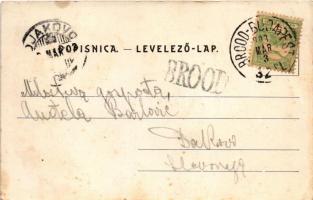 1903 Bosanski Brod, street view, shop, K.u.K. military monument. Art Nouveau, floral (wet corners)