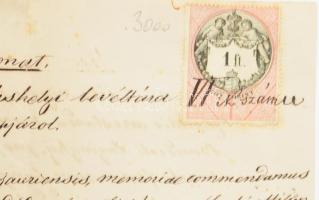 1884. márc. 4. Győr, Oklevélkivonat a győri káptalan hiteleshelyi levéltárából. A lemásolt okirat Hé...