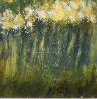 Ács F jelzéssel: Táj. Olaj, rétegelt falemez. 50x43 cm