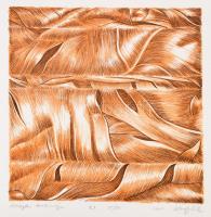 Kőszeghy Csilla (1977-): Növények anatómiája I., 2003. Litográfia, papír, jelzett, művészpéldány E.A. VII/VIII. számozással. 30x30 cm