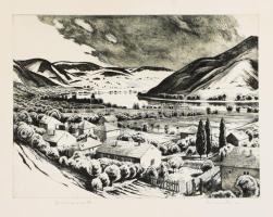 Novák Lajos (1927-1989): Dunapart (Dunakanyar). Rézkarc, papír, jelzett, kartonra kasírozva, 29x39 c...