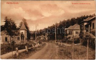 1909 Bártfa, Bártfafürdő, Bardejovské Kúpele, Bardiov, Bardejov; Erzsébet királyné körút, nyaralók. Divald műintézete 7-1909. / street view, villas (EK)