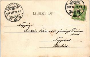 1907 Arad, Városház tér, városháza. Révész Nándor kiadása / town hall, square (fl)